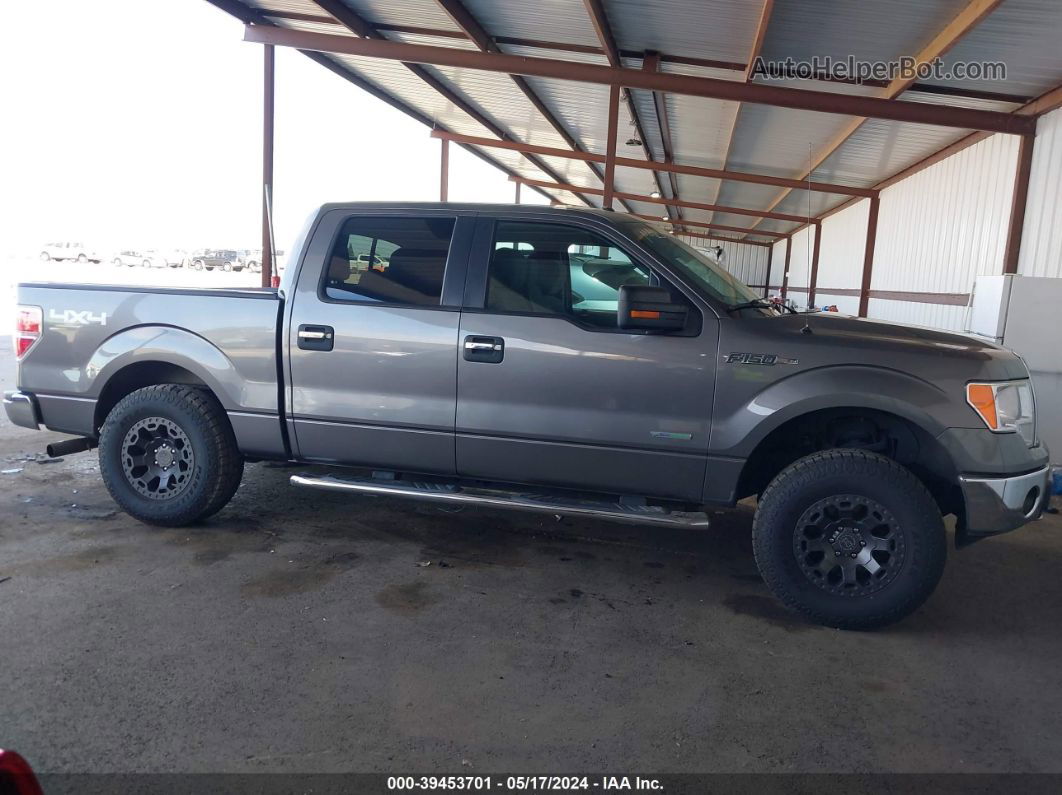 2014 Ford F-150 Xlt Gray vin: 1FTFW1ET8EFB31828