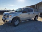 2014 Ford F150 Supercrew Silver vin: 1FTFW1ET8EFB84237