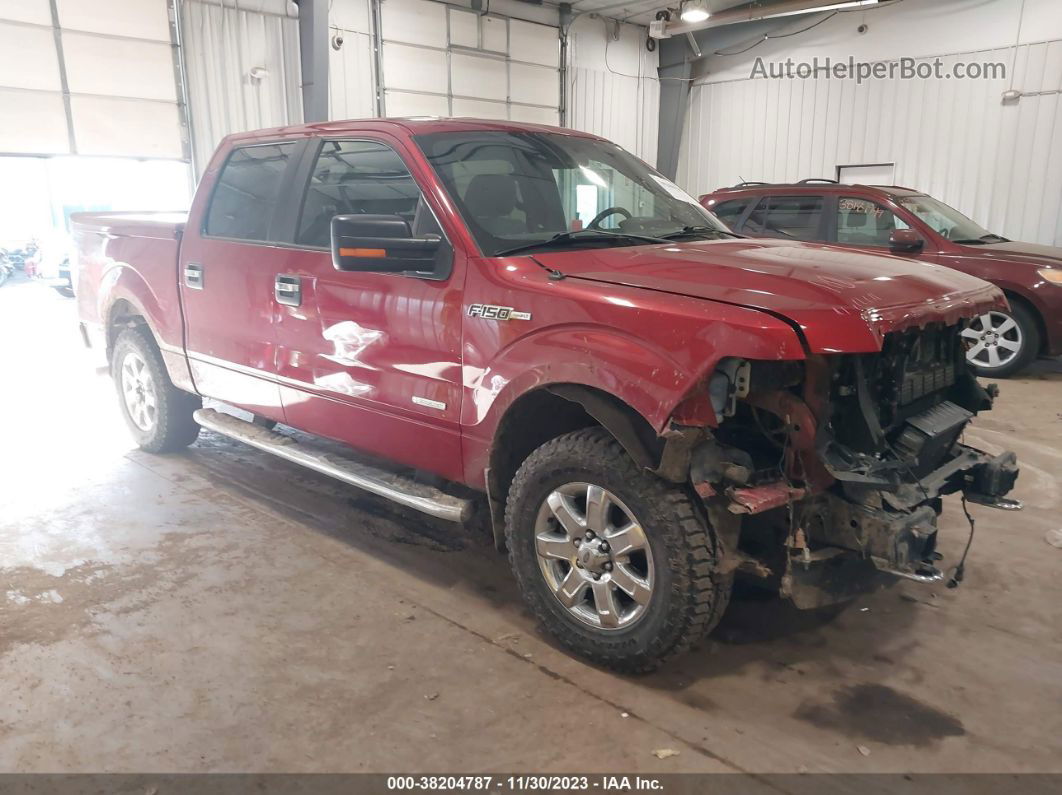 2014 Ford F-150 Xlt Maroon vin: 1FTFW1ET8EFC34053