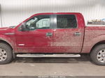 2014 Ford F-150 Xlt Maroon vin: 1FTFW1ET8EFC34053