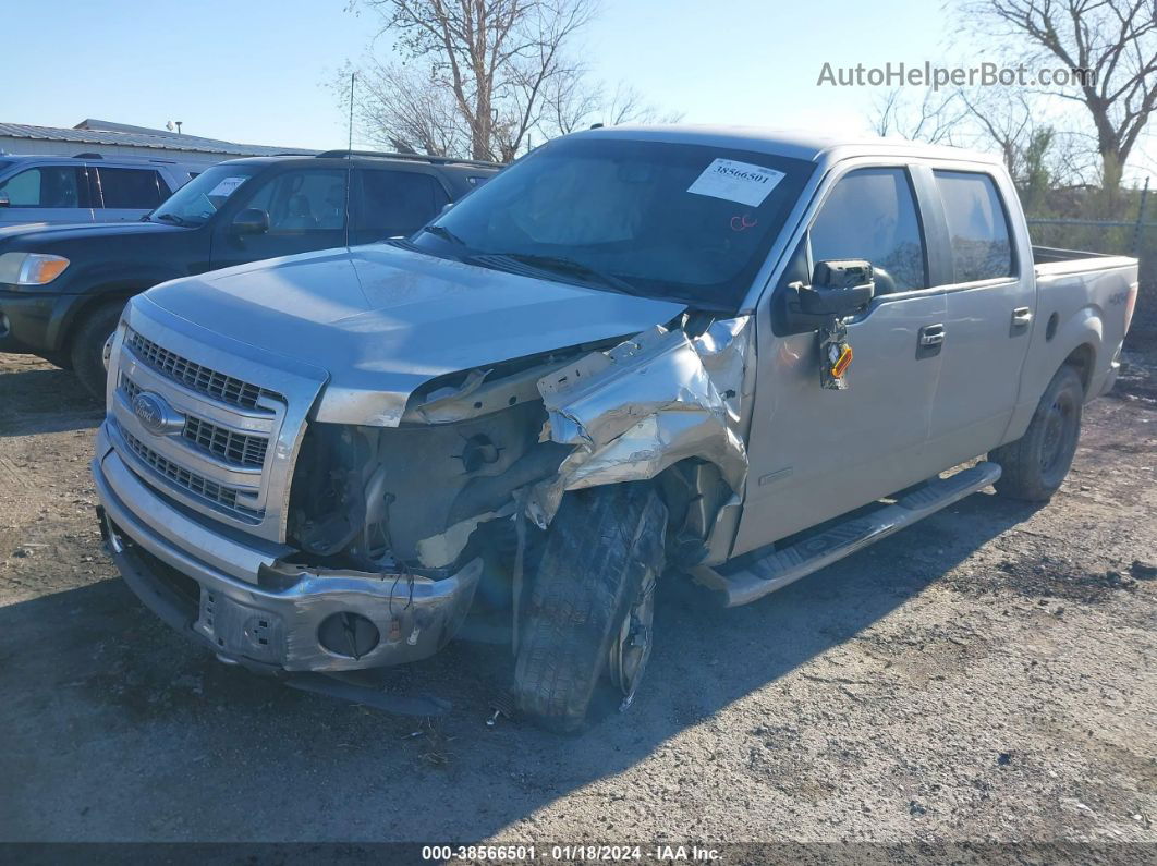 2014 Ford F-150 Xlt Silver vin: 1FTFW1ET8EKD99849