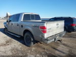 2014 Ford F-150 Xlt Silver vin: 1FTFW1ET8EKD99849