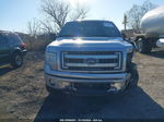 2014 Ford F-150 Xlt Silver vin: 1FTFW1ET8EKD99849