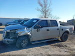 2014 Ford F-150 Xlt Silver vin: 1FTFW1ET8EKD99849