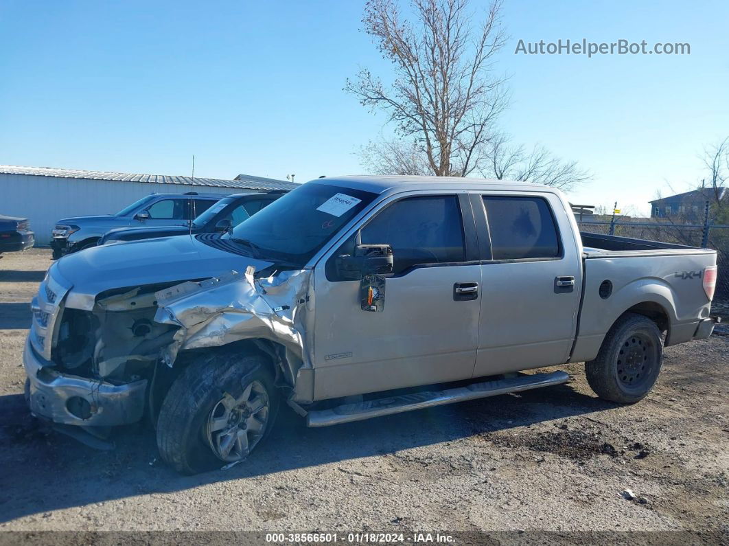 2014 Ford F-150 Xlt Silver vin: 1FTFW1ET8EKD99849