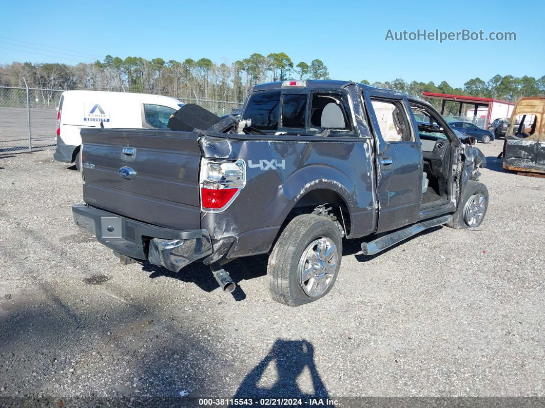 2014 Ford F-150 Xlt Gray vin: 1FTFW1ET8EKF16345