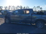 2014 Ford F-150 Xlt Gray vin: 1FTFW1ET8EKF16345