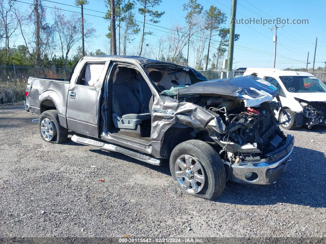 2014 Ford F-150 Xlt Gray vin: 1FTFW1ET8EKF16345