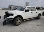 2011 Ford F150 Supercrew White vin: 1FTFW1ET9BFA94056