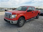 2011 Ford F150 Supercrew Red vin: 1FTFW1ET9BFB81827
