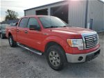 2011 Ford F150 Supercrew Red vin: 1FTFW1ET9BFB81827
