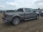 2011 Ford F150 Supercrew Gray vin: 1FTFW1ET9BFB97154