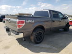 2011 Ford F150 Supercrew Gray vin: 1FTFW1ET9BKD85938