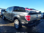 2014 Ford F-150 Platinum Black vin: 1FTFW1ET9EFA61093