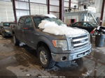 2014 Ford F-150 Xlt Gray vin: 1FTFW1ET9EFC19870