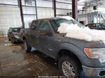 2014 Ford F-150 Xlt Серый vin: 1FTFW1ET9EFC19870