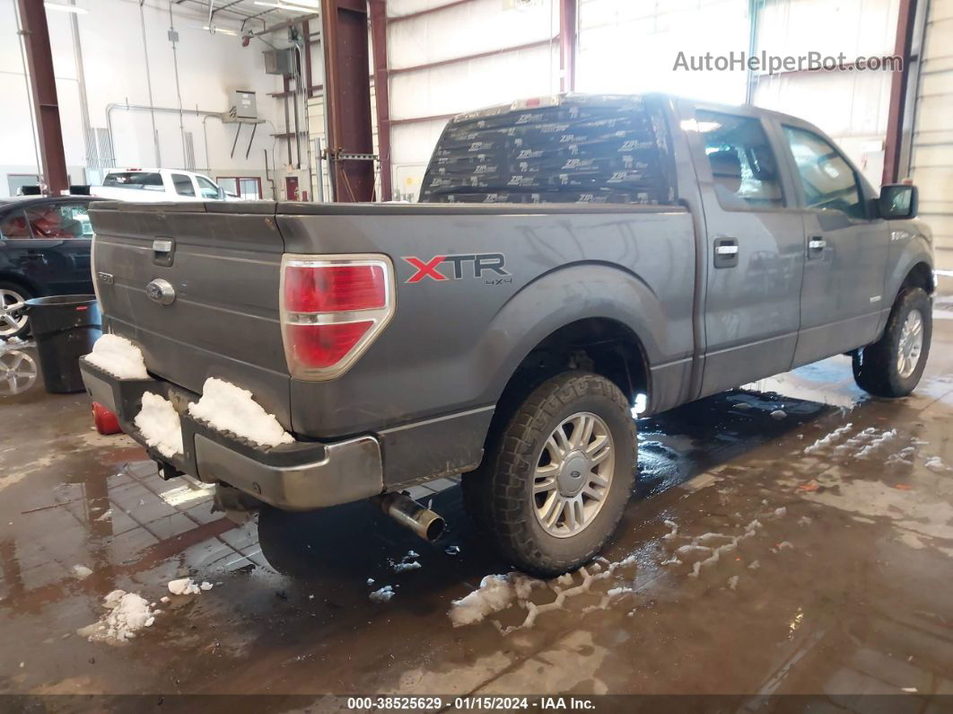 2014 Ford F-150 Xlt Gray vin: 1FTFW1ET9EFC19870