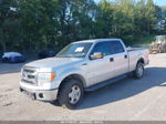 2014 Ford F-150 Xl/xlt/fx4/lariat Silver vin: 1FTFW1ET9EKG10587