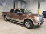 2011 Ford F150 Supercrew Brown vin: 1FTFW1ETXBFC45728