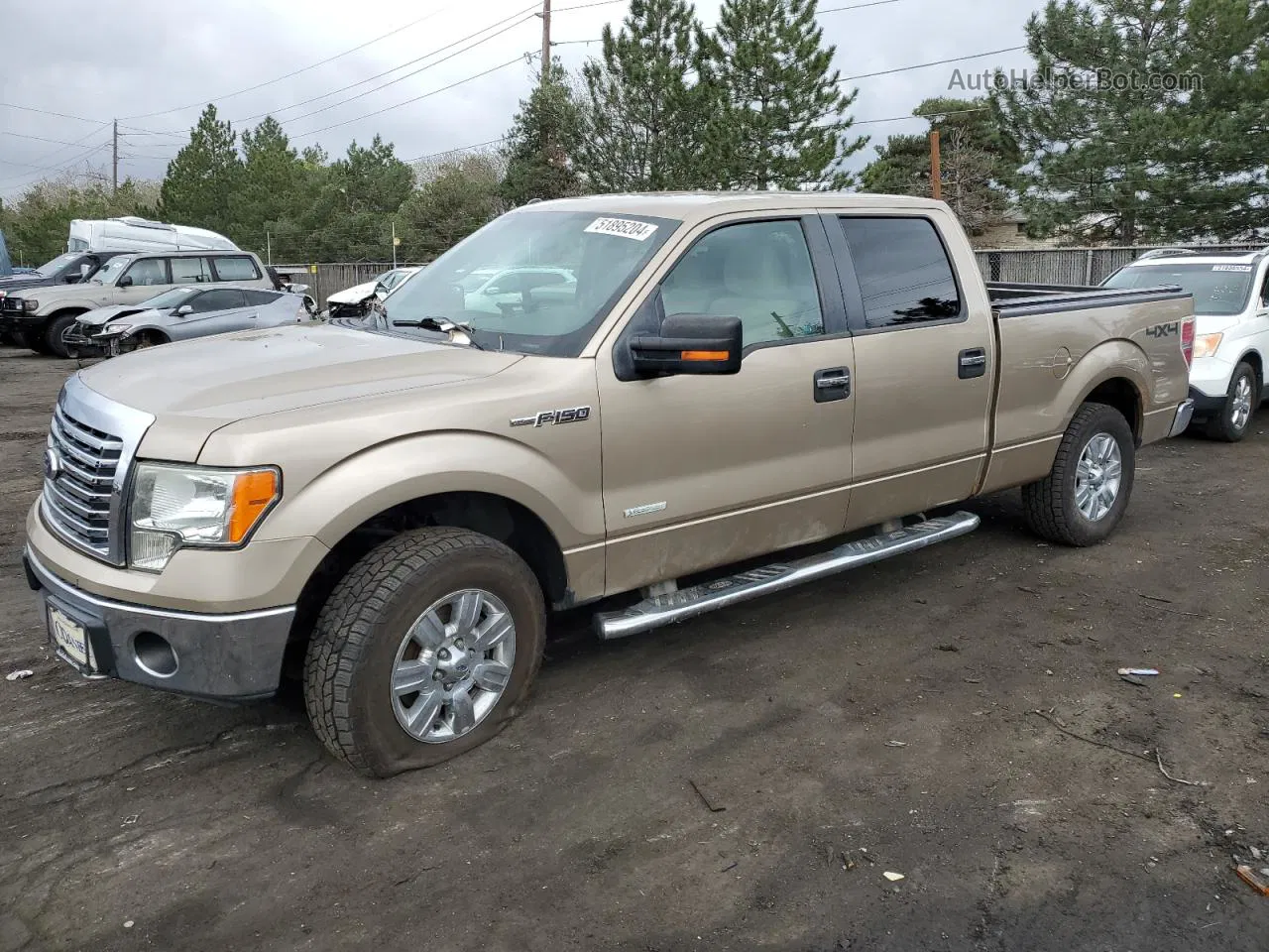 2011 Ford F150 Supercrew Gold vin: 1FTFW1ETXBFC89194