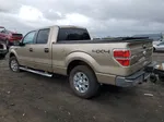 2011 Ford F150 Supercrew Gold vin: 1FTFW1ETXBFC89194