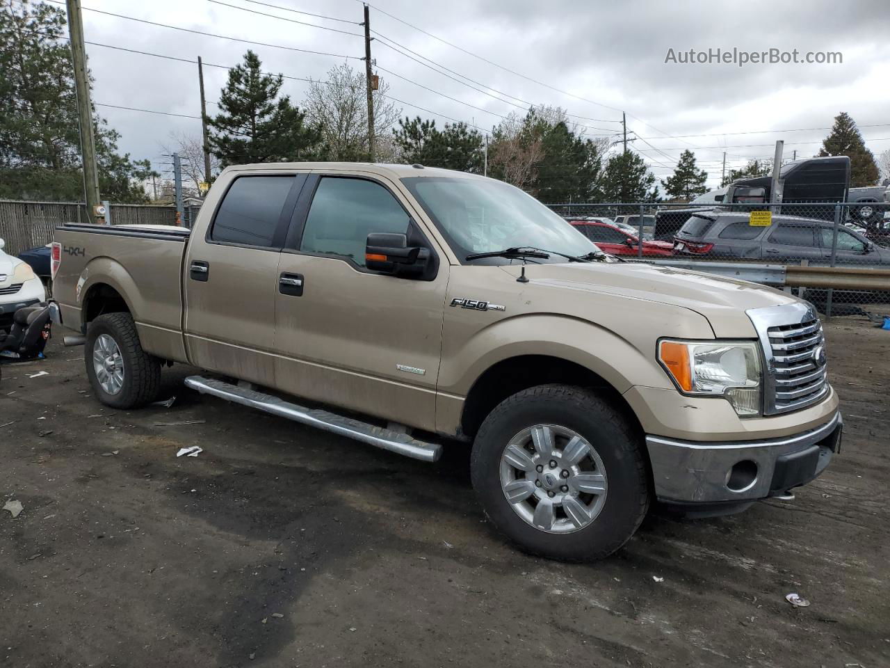 2011 Ford F150 Supercrew Золотой vin: 1FTFW1ETXBFC89194