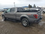 2014 Ford F150 Supercrew Gray vin: 1FTFW1ETXEFA33125