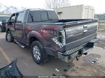 2014 Ford F-150 Xlt Gray vin: 1FTFW1ETXEKD11335