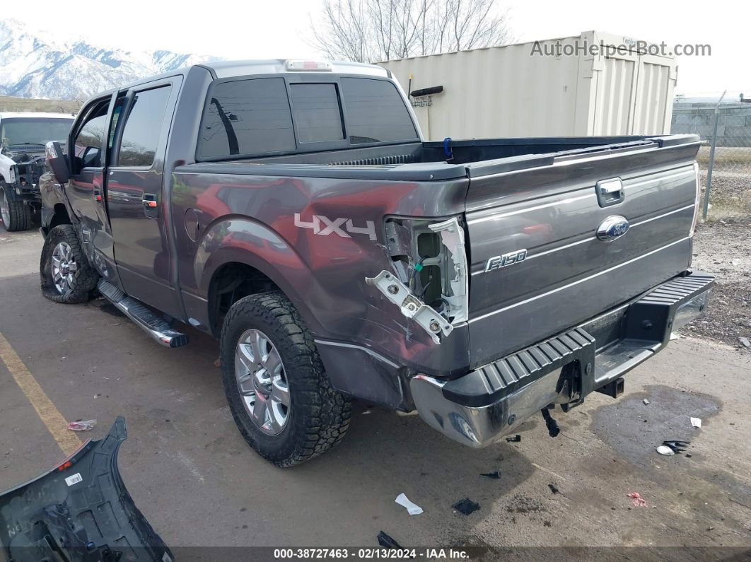 2014 Ford F-150 Xlt Серый vin: 1FTFW1ETXEKD11335