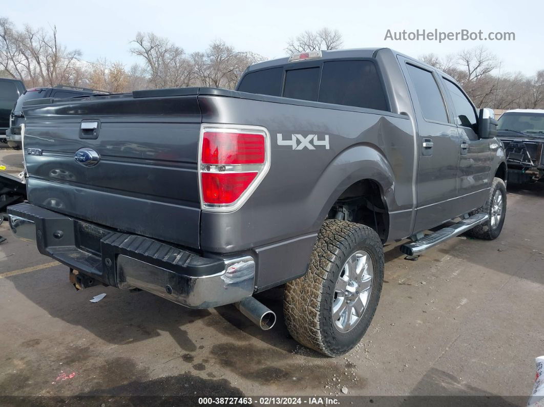 2014 Ford F-150 Xlt Gray vin: 1FTFW1ETXEKD11335