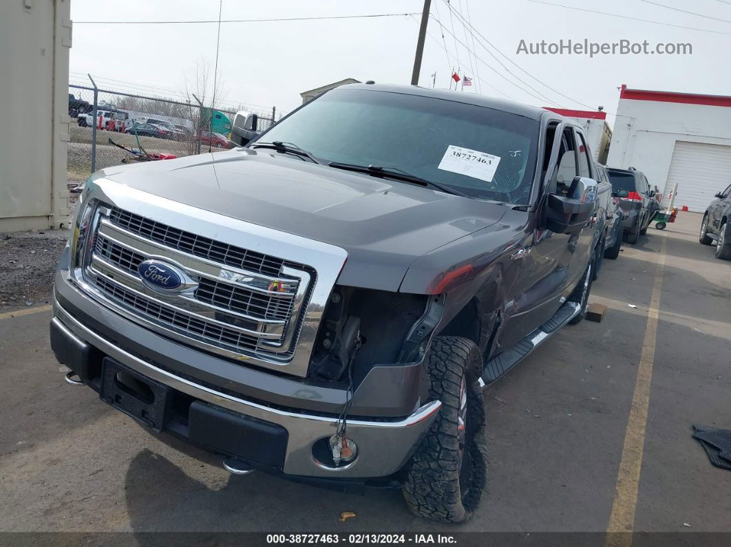 2014 Ford F-150 Xlt Gray vin: 1FTFW1ETXEKD11335