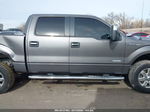 2014 Ford F-150 Xlt Gray vin: 1FTFW1ETXEKD11335