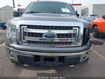 2014 Ford F-150 Xlt Gray vin: 1FTFW1ETXEKD11335