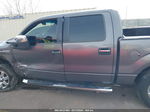 2014 Ford F-150 Xlt Gray vin: 1FTFW1ETXEKD11335