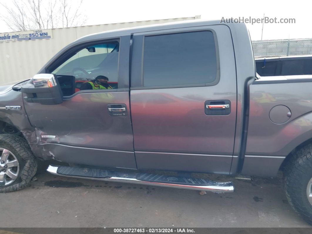 2014 Ford F-150 Xlt Gray vin: 1FTFW1ETXEKD11335