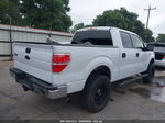 2014 Ford F-150 Xlt White vin: 1FTFW1ETXEKD46795