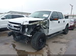 2014 Ford F-150 Xlt White vin: 1FTFW1ETXEKD46795