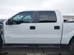 2014 Ford F-150 Xlt White vin: 1FTFW1ETXEKD46795