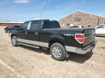 2014 Ford F150 Supercrew Green vin: 1FTFW1ETXEKE21981