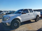 2014 Ford F-150 King Ranch White vin: 1FTFW1ETXEKF05833