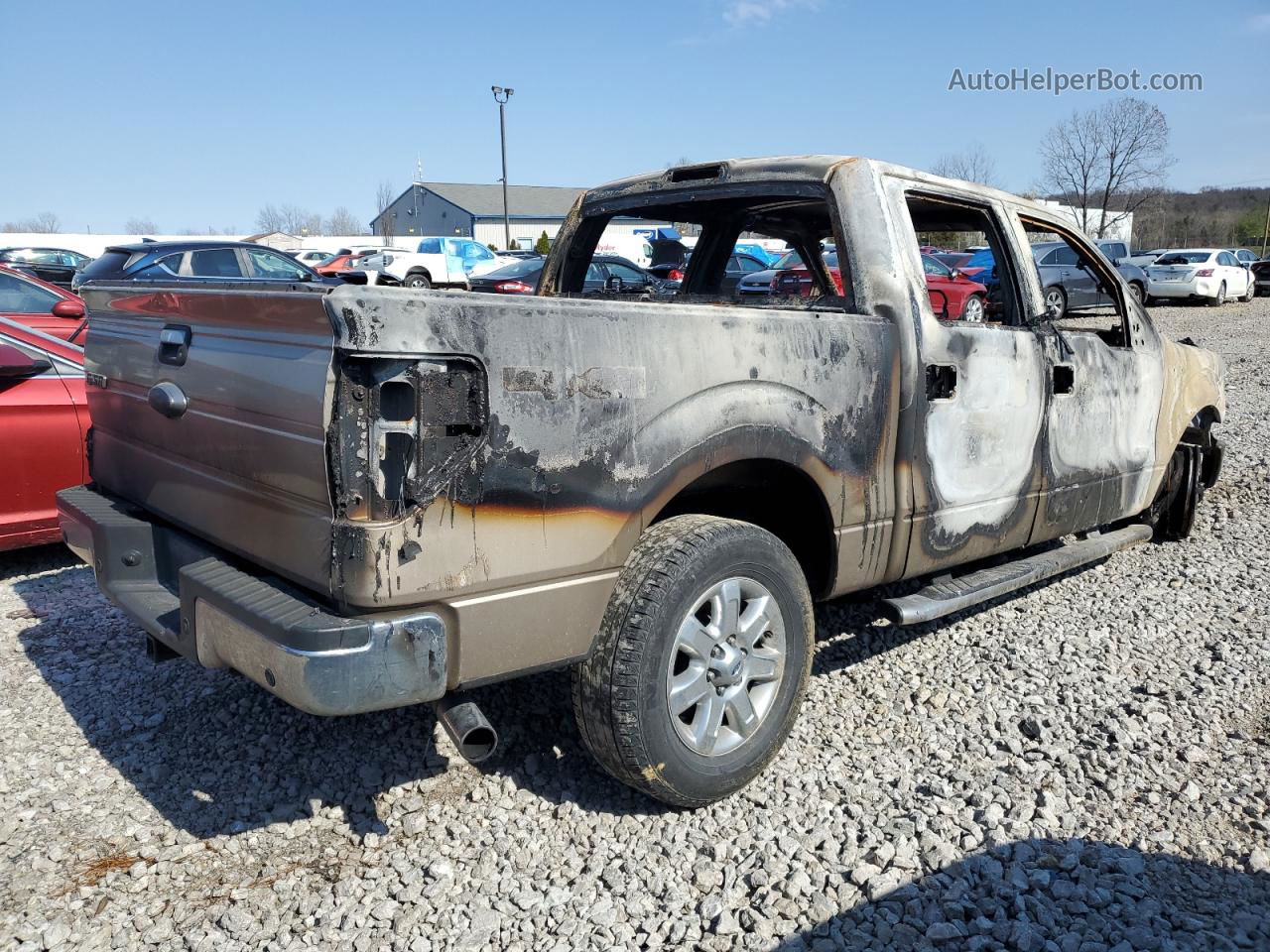 2014 Ford F150 Supercrew Burn vin: 1FTFW1ETXEKF51095