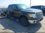 2010 Ford F-150 Xl/xlt/fx4/lariat Черный vin: 1FTFW1EV0AFA27748