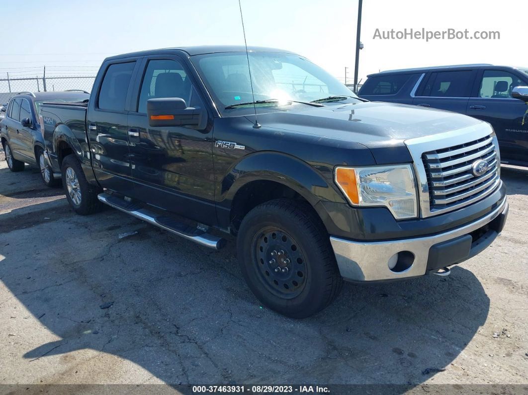 2010 Ford F-150 Xl/xlt/fx4/lariat Черный vin: 1FTFW1EV0AFA27748