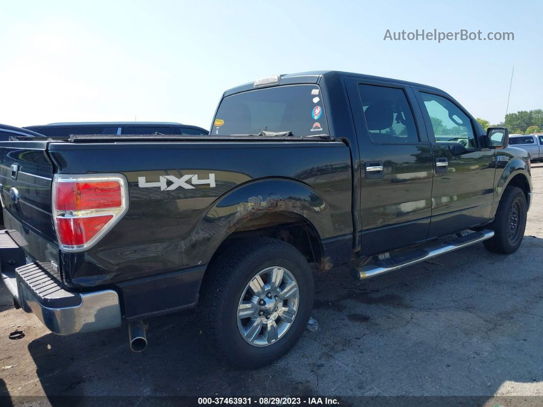 2010 Ford F-150 Xl/xlt/fx4/lariat Черный vin: 1FTFW1EV0AFA27748