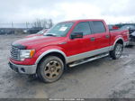 2010 Ford F-150 Fx4/lariat/xl/xlt Red vin: 1FTFW1EV0AFB60185