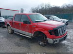 2010 Ford F-150 Fx4/lariat/xl/xlt Red vin: 1FTFW1EV0AFB60185