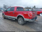 2010 Ford F-150 Fx4/lariat/xl/xlt Red vin: 1FTFW1EV0AFB60185