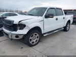 2010 Ford F-150 Fx4/lariat/xl/xlt White vin: 1FTFW1EV0AFC49996