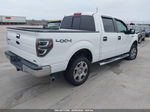 2010 Ford F-150 Fx4/lariat/xl/xlt Белый vin: 1FTFW1EV0AFC49996