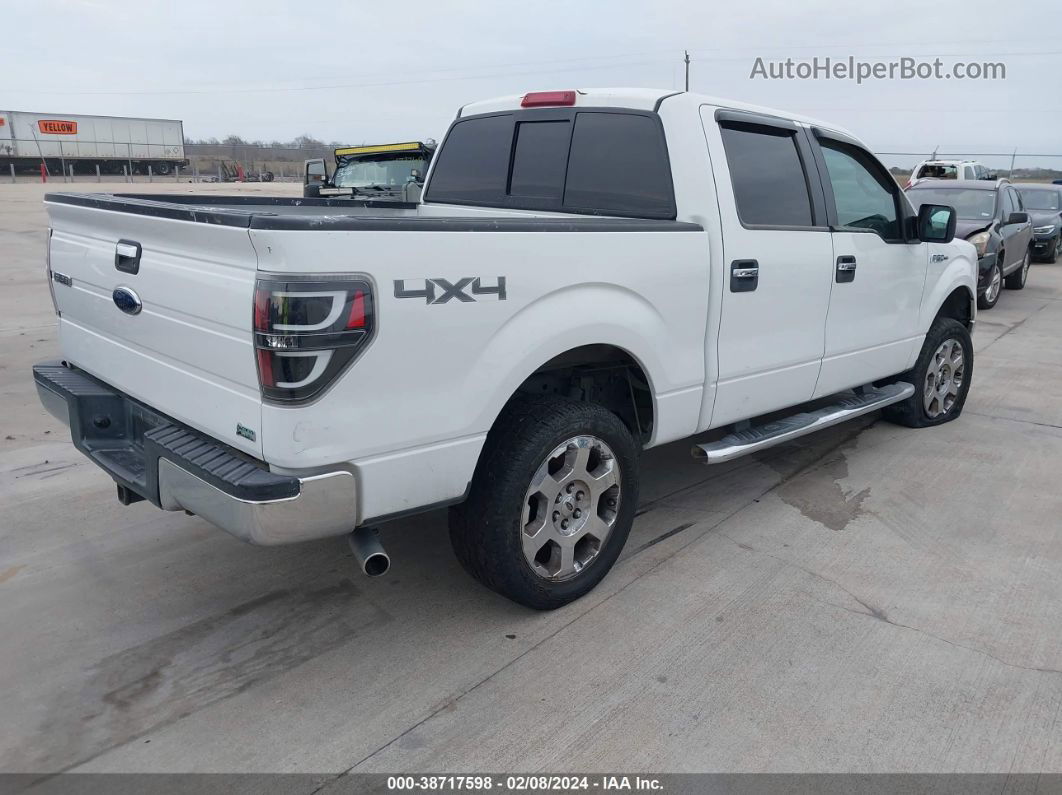 2010 Ford F-150 Fx4/lariat/xl/xlt White vin: 1FTFW1EV0AFC49996